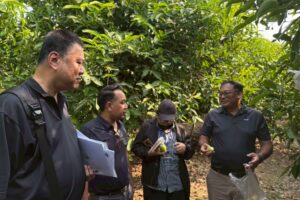 LINE_ALBUM_สัญจร_260211_2